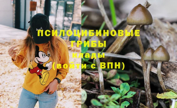 скорость mdpv Алексеевка