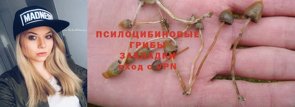 дживик Алзамай